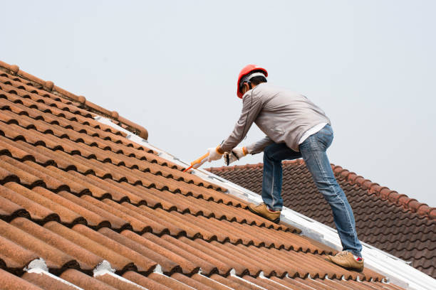 Best Roof Moss and Algae Removal  in Judsonia, AR