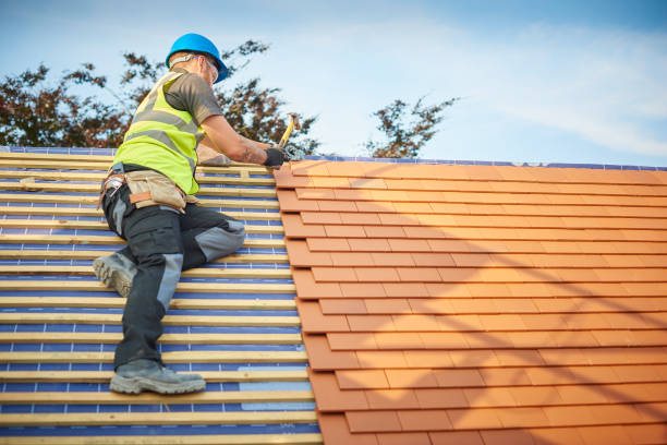 Best Storm Damage Roof Repair  in Judsonia, AR